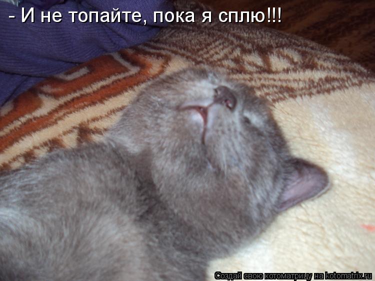 - И не топайте, пока я сплю!!!... Котоматрица: - И не топайте, пока я сплю!!!