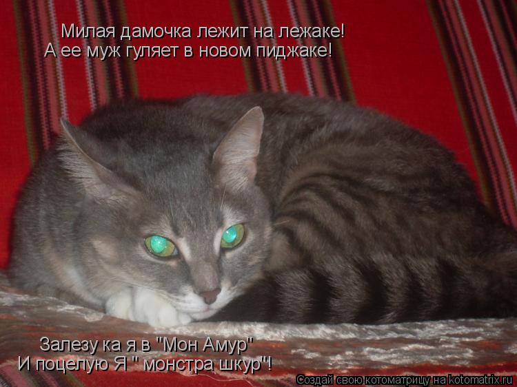 Милая дамочка лежит на лежаке! А ее муж гуляет в новом пиджаке! Залезу ка я в "Мон Амур" И поцелую Я ... Котоматрица: Милая дамочка лежит на лежаке! А ее муж гуляет в новом пиджаке! Залезу ка я в "Мон Амур" И поцелую Я " монстра шкур"!