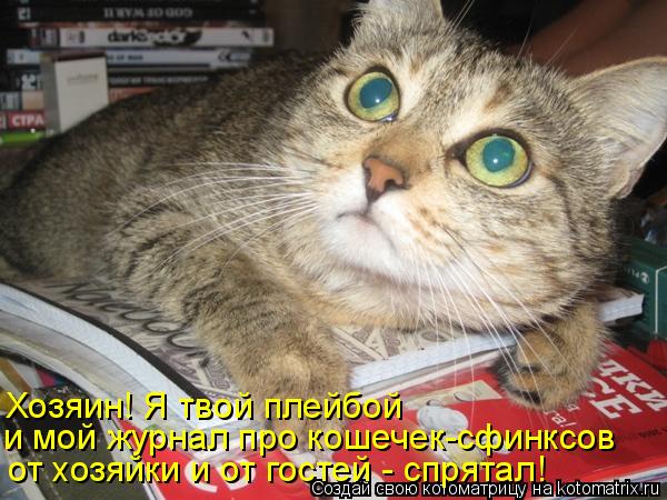Хозяин! Я твой плейбой и мой журнал про кошечек-сфинксов от хозяйки и от гостей - спрятал!... Котоматрица: Хозяин! Я твой плейбой и мой журнал про кошечек-сфинксов от хозяйки и от гостей - спрятал!
