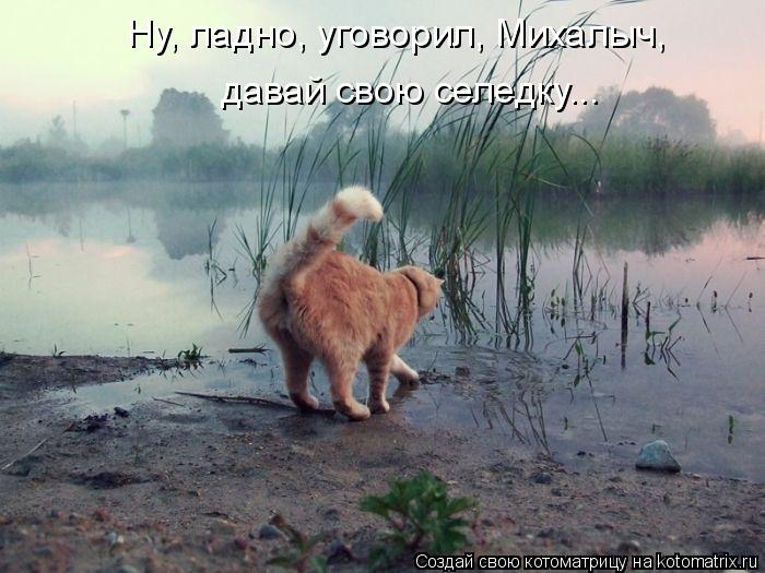 Ну, ладно, уговорил, Михалыч, давай свою селедку...... Котоматрица: Ну, ладно, уговорил, Михалыч, давай свою селедку...