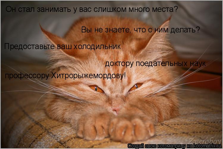 Он стал занимать у вас слишком много места? Вы не знаете, что с ним делать? Предоставьте ваш холодиль... Котоматрица: Он стал занимать у вас слишком много места? Вы не знаете, что с ним делать? Предоставьте ваш холодильник доктору поедательных наук профессо