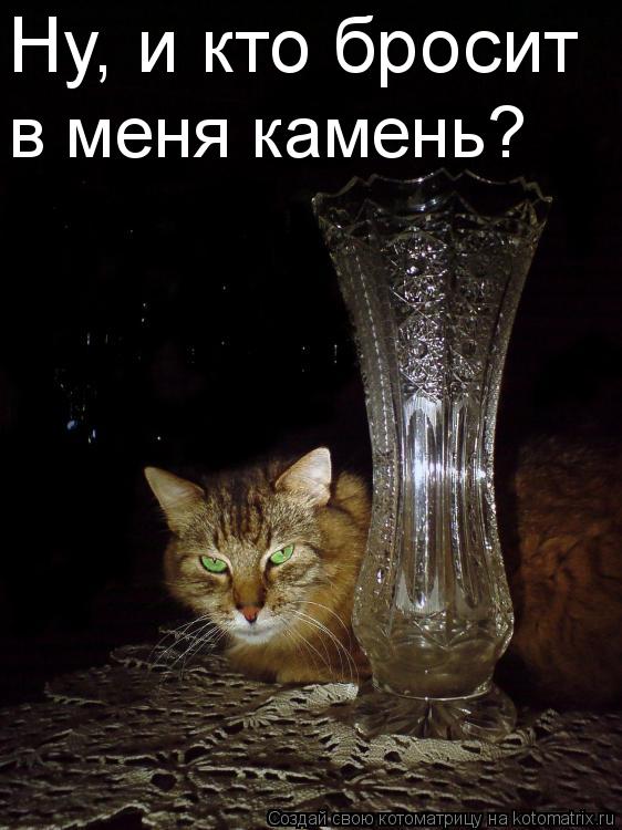 Ну, и кто бросит в меня камень?... Котоматрица: Ну, и кто бросит в меня камень?
