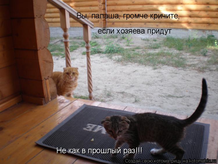 Вы, папаша, громче кричите, если хозяева придут Не как в прошлый раз!!!... Котоматрица: Вы, папаша, громче кричите, если хозяева придут Не как в прошлый раз!!!