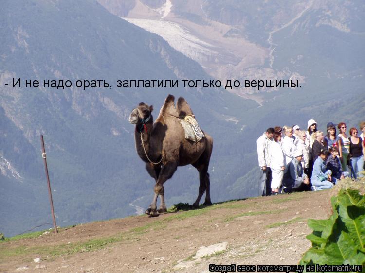 - И не надо орать, заплатили только до вершины.... Котоматрица: - И не надо орать, заплатили только до вершины.