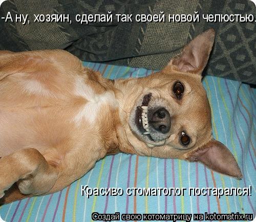 -А ну, хозяин, сделай так своей новой челюстью. Красиво стоматолог постарался!... Котоматрица: -А ну, хозяин, сделай так своей новой челюстью. Красиво стоматолог постарался!