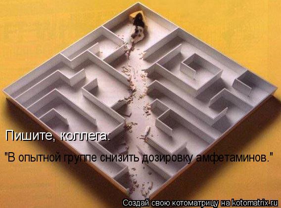 Пишите, коллега: "В опытной группе снизить дозировку амфетаминов."... Котоматрица: Пишите, коллега: "В опытной группе снизить дозировку амфетаминов."