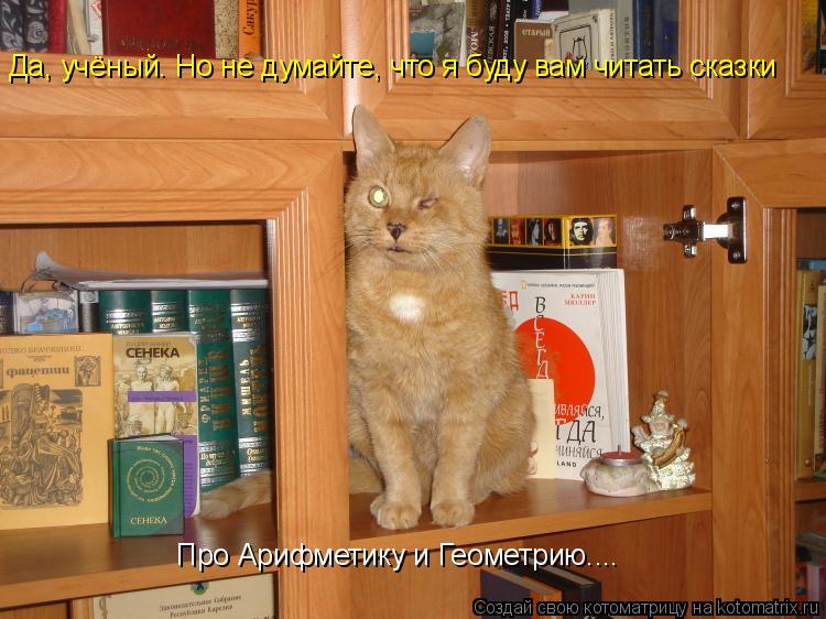 Да, учёный. Но не думайте, что я буду вам читать сказки Про Арифметику и Геометрию....... Котоматрица: Да, учёный. Но не думайте, что я буду вам читать сказки Про Арифметику и Геометрию....