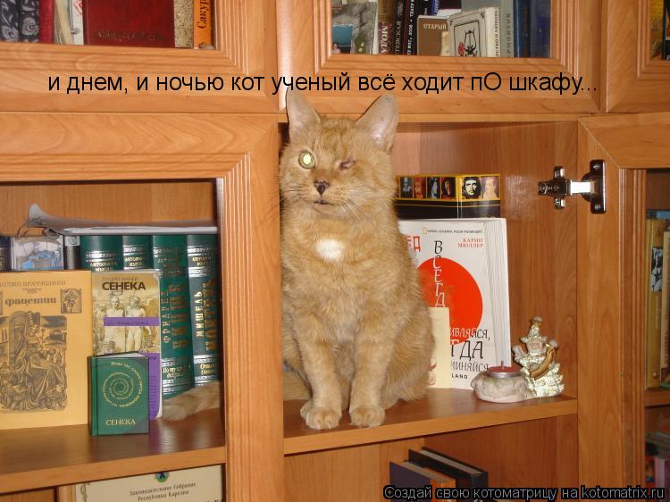 и днем, и ночью кот ученый всё ходит пО шкафу...... Котоматрица: и днем, и ночью кот ученый всё ходит пО шкафу...