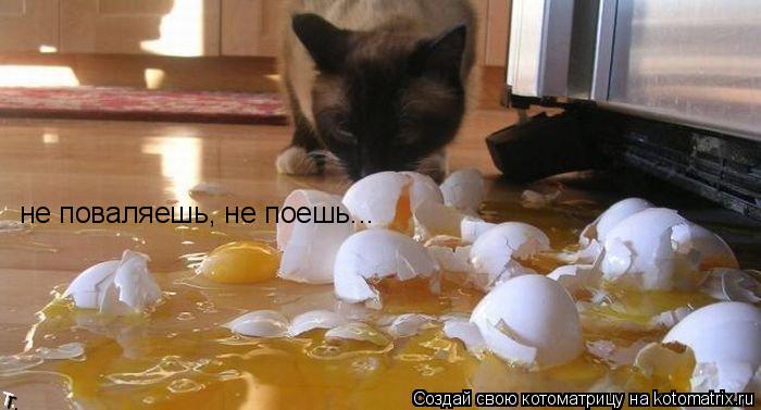 не поваляешь, не поешь...... Котоматрица: не поваляешь, не поешь...