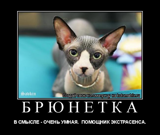 брюнетка В СМЫСЛЕ - ОЧЕНЬ УМНАЯ. ПОМОЩНИК ЭКСТРАСЕНСА.... Котоматрица: брюнетка В СМЫСЛЕ - ОЧЕНЬ УМНАЯ. ПОМОЩНИК ЭКСТРАСЕНСА.