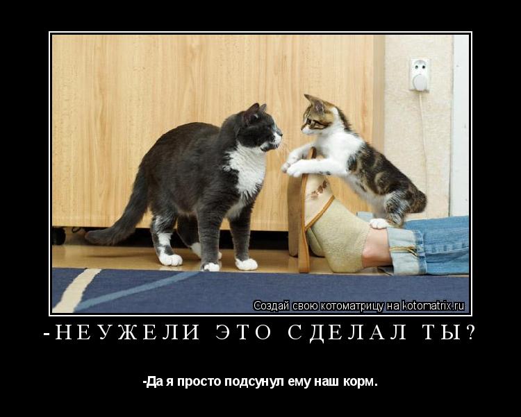 -Неужели это сделал ты? -Да я просто подсунул ему наш корм.... Котоматрица: -Неужели это сделал ты? -Да я просто подсунул ему наш корм.
