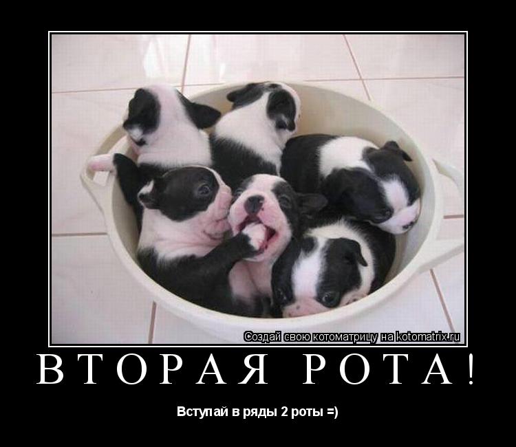 Вторая рота! Вступай в ряды 2 роты =)... Котоматрица: Вторая рота! Вступай в ряды 2 роты =)