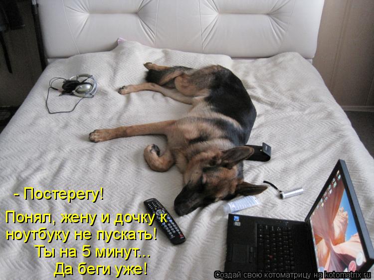 - Постерегу! Понял, жену и дочку к ноутбуку не пускать! Ты на 5 минут... Да беги уже!... Котоматрица: - Постерегу! Понял, жену и дочку к ноутбуку не пускать! Ты на 5 минут... Да беги уже!