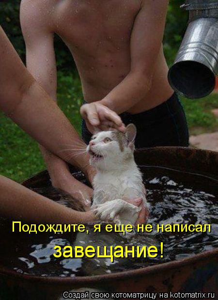 Подождите, я еще не написал завещание!... Котоматрица: Подождите, я еще не написал завещание!