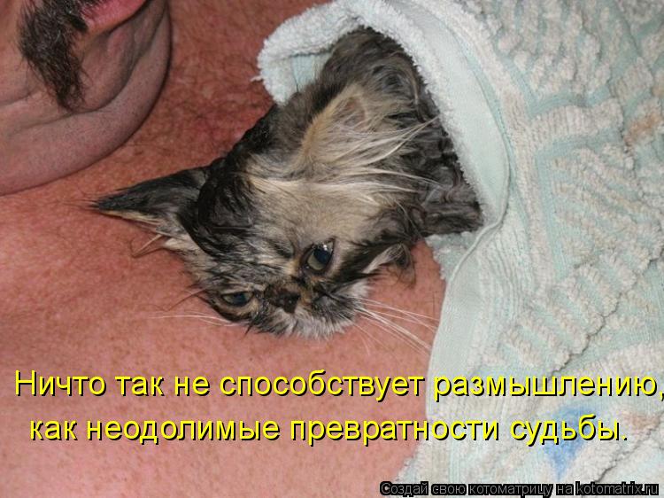 Ничто так не способствует размышлению, как неодолимые превратности судьбы.... Котоматрица: Ничто так не способствует размышлению, как неодолимые превратности судьбы.