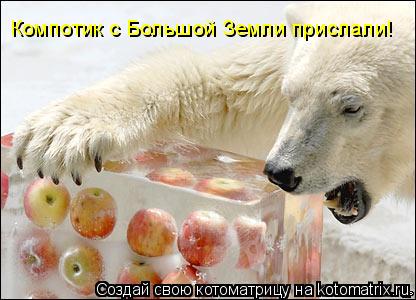 Компотик с Большой Земли прислали!... Котоматрица: Компотик с Большой Земли прислали!