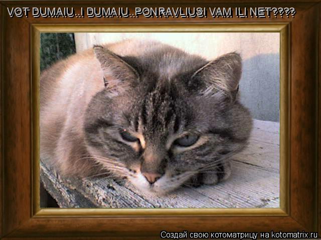 VOT DUMAIU..I DUMAIU..PONRAVLIUSI VAM ILI NET???? VOT DUMAIU..I DUMAIU..PONRAVLIUSI VAM ILI NET????... Котоматрица: VOT DUMAIU..I DUMAIU..PONRAVLIUSI VAM ILI NET???? VOT DUMAIU..I DUMAIU..PONRAVLIUSI VAM ILI NET????