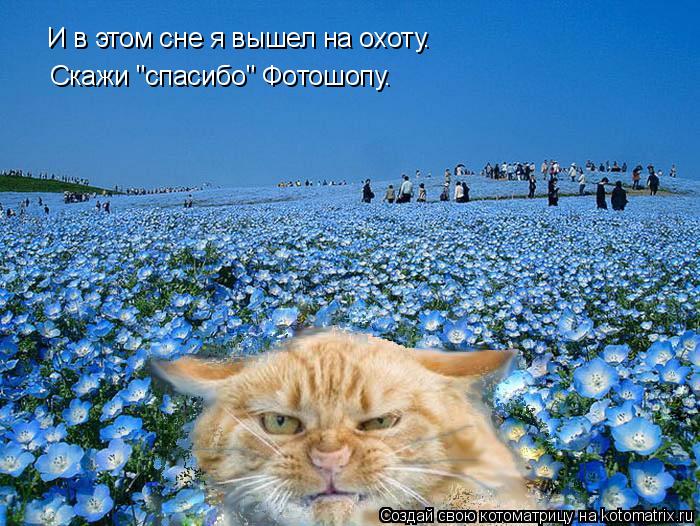 Скажи "спасибо" Фотошопу. И в этом сне я вышел на охоту.... Котоматрица: Скажи "спасибо" Фотошопу. И в этом сне я вышел на охоту.