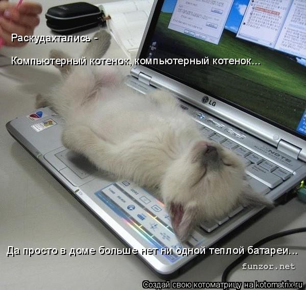Компьютерный котенок, компьютерный котенок... Раскудахтались - Да просто в доме больше нет ни одной ... Котоматрица: Компьютерный котенок, компьютерный котенок... Раскудахтались - Да просто в доме больше нет ни одной теплой батареи...