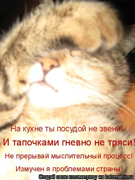 На кухне ты посудой не звени! И тапочками гневно не тряси! Не прерывай мыслительный процесс! Измучен ... Котоматрица: На кухне ты посудой не звени! И тапочками гневно не тряси! Не прерывай мыслительный процесс! Измучен я проблемами страны!