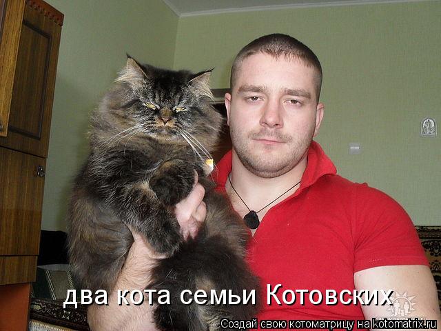 Котоматрица: два кота семьи Котовских