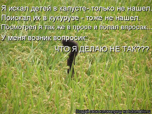 Я искал детей в капусте- только не нашел. Поискал их в кукурузе - тоже не нашел. Посмотрел я так же в... Котоматрица: Я искал детей в капусте- только не нашел. Поискал их в кукурузе - тоже не нашел. Посмотрел я так же в просе и попал впросак... У меня возник вопр