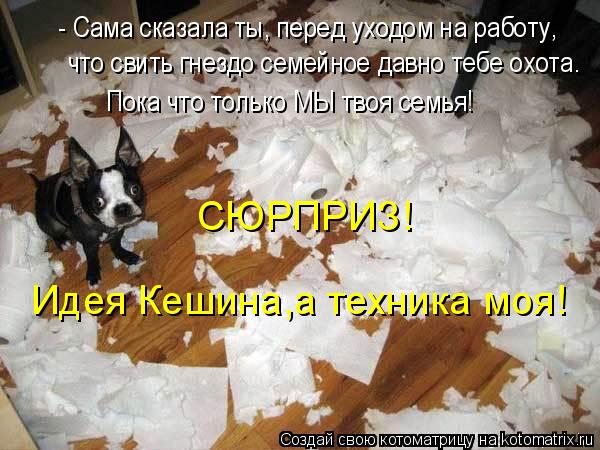 - Сама сказала ты, перед уходом на работу, что свить гнездо семейное давно тебе охота. Пока что тольк... Котоматрица: - Сама сказала ты, перед уходом на работу, что свить гнездо семейное давно тебе охота. Пока что только МЫ твоя семья! СЮРПРИЗ! Идея Кешина,а те