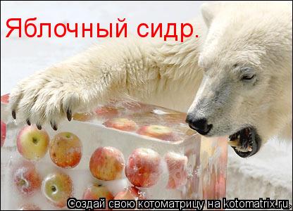Яблочный сидр.... Котоматрица: Яблочный сидр.