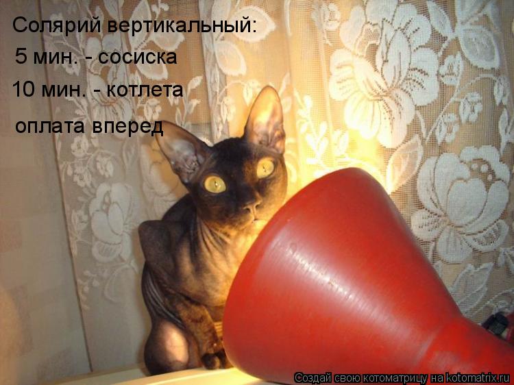Солярий вертикальный: 5 мин. - сосиска 10 мин. - котлета оплата вперед... Котоматрица: Солярий вертикальный: 5 мин. - сосиска 10 мин. - котлета оплата вперед