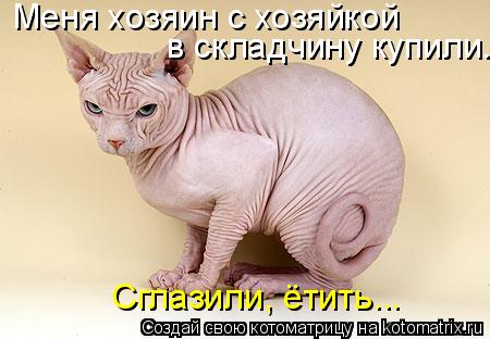 Котоматрица: Меня хозяин с хозяйкой  в складчину купили.  Сглазили, ётить...