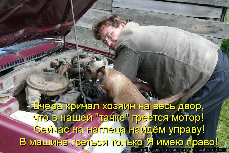 - Вчера кричал хозяин на весь двор, что в нашей "тачке" греется мотор! Сейчас на наглеца найдём управ... Котоматрица: - Вчера кричал хозяин на весь двор, что в нашей "тачке" греется мотор! Сейчас на наглеца найдём управу! В машине греться только Я имею право!