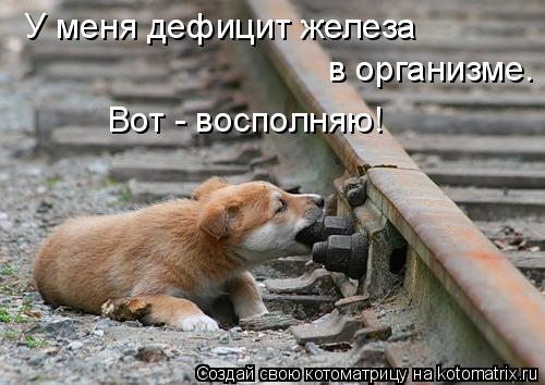 У меня дефицит железа в организме. Вот - восполняю!... Котоматрица: У меня дефицит железа в организме. Вот - восполняю!