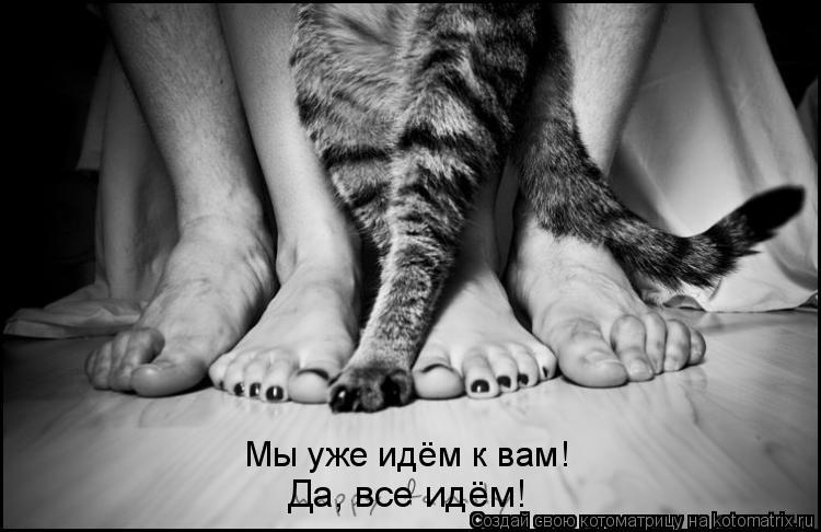 Мы уже идём к вам! Да, все идём!... Котоматрица: Мы уже идём к вам! Да, все идём!
