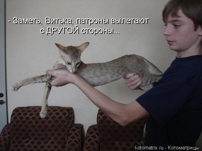 - Заметь, Витька, патроны вылетают с ДРУГОЙ стороны...... Котоматрица: - Заметь, Витька, патроны вылетают с ДРУГОЙ стороны...