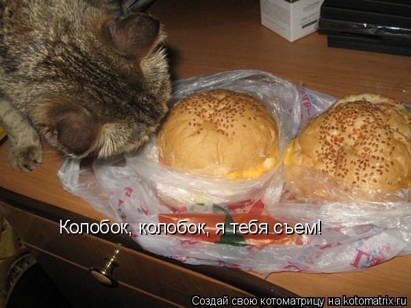 Котоматрица: Колобок, колобок, я тебя съем!