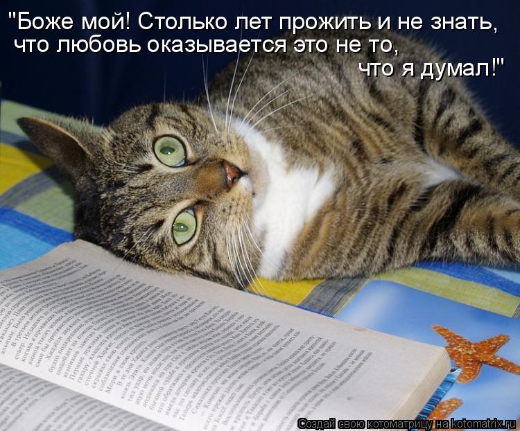 Котоматрица: "Боже мой! Столько лет прожить и не знать что любовь оказывается это не то,  что я думал!" ,