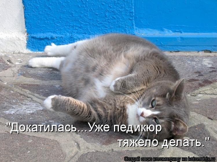 Котоматрица: "Докатилась...Уже педикюр  тяжело делать."