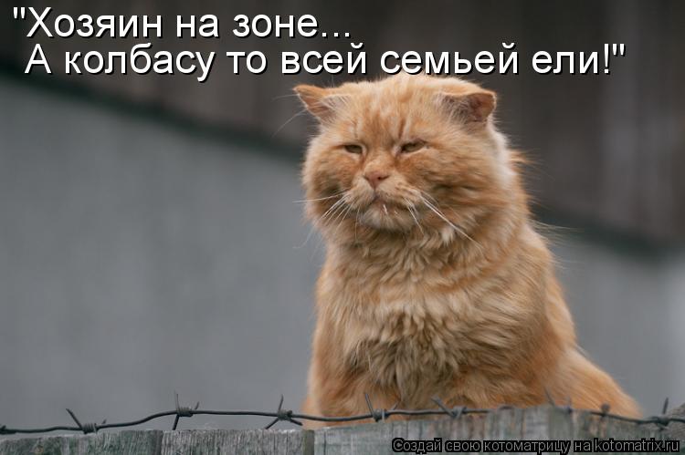 Котоматрица: "Хозяин на зоне... А колбасу то всей семьей ели!"