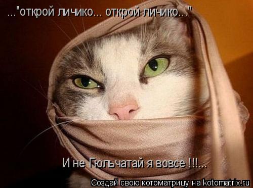 Котоматрица: ..."открой личико... открой личико..." И не Гюльчатай я вовсе !!!...