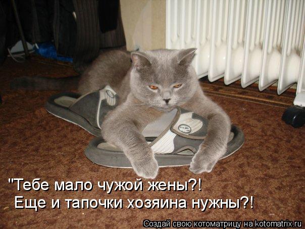 "Тебе мало чужой жены?! Еще и тапочки хозяина нужны?!... Котоматрица: "Тебе мало чужой жены?! Еще и тапочки хозяина нужны?!