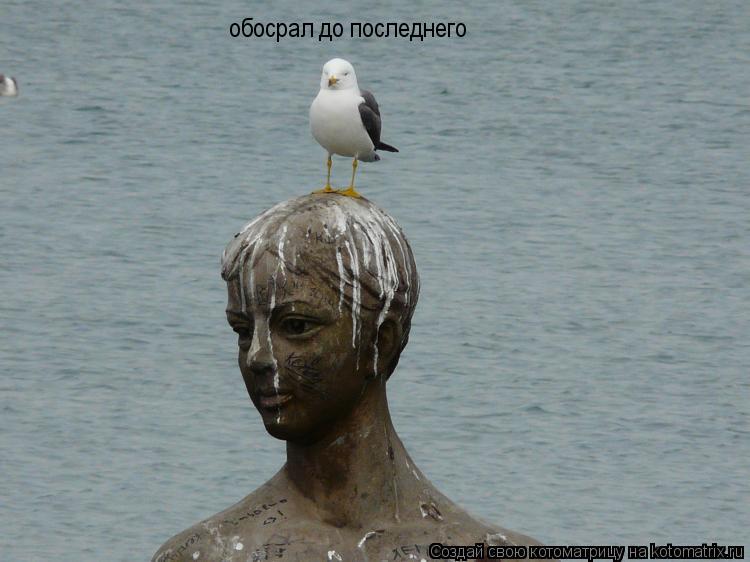 обосрал до последнего... Котоматрица: обосрал до последнего