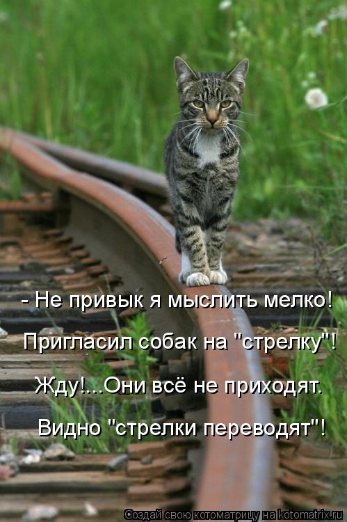 - Не привык я мыслить мелко! Жду!...Они всё не приходят. Видно "стрелки переводят"! Пригласил собак н... Котоматрица: - Не привык я мыслить мелко! Жду!...Они всё не приходят. Видно "стрелки переводят"! Пригласил собак на "стрелку"!