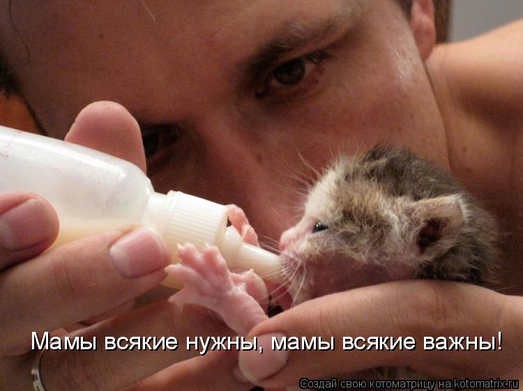 Мамы всякие нужны, мамы всякие важны!... Котоматрица: Мамы всякие нужны, мамы всякие важны!