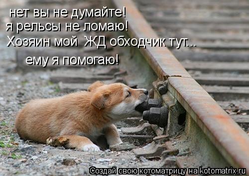 нет вы не думайте! я рельсы не ломаю! ему я помогаю! Хозяин мой ЖД обходчик тут...... Котоматрица: нет вы не думайте! я рельсы не ломаю! ему я помогаю! Хозяин мой ЖД обходчик тут...