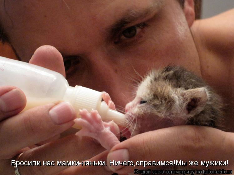 Бросили нас мамки-няньки. Ничего,справимся!Мы же мужики!... Котоматрица: Бросили нас мамки-няньки. Ничего,справимся!Мы же мужики!