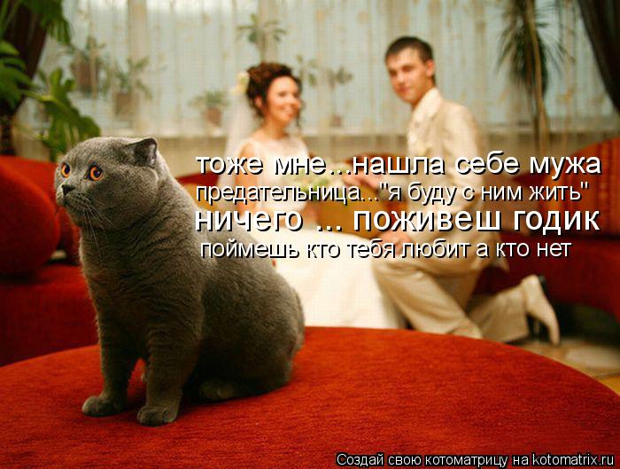 тоже мне...нашла себе мужа предательница..."я буду с ним жить" ничего ... поживеш годик поймешь кто т... Котоматрица: тоже мне...нашла себе мужа предательница..."я буду с ним жить" ничего ... поживеш годик поймешь кто тебя любит а кто нет