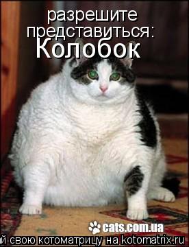 разрешите представиться: Колобок... Котоматрица: разрешите представиться: Колобок