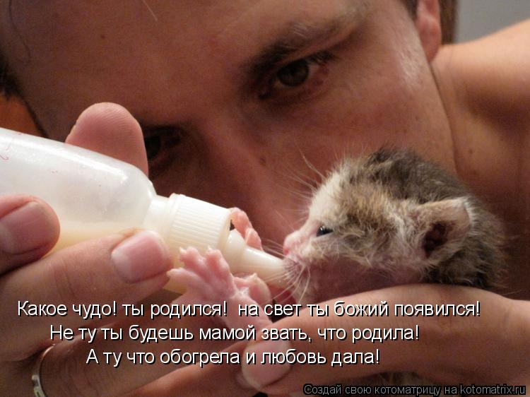 Какое чудо! ты родился! на свет ты божий появился! Не ту ты будешь мамой звать, что родила! А ту что... Котоматрица: Какое чудо! ты родился! на свет ты божий появился! Не ту ты будешь мамой звать, что родила! А ту что обогрела и любовь дала!
