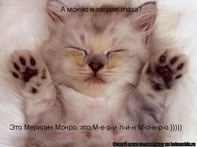 А можно я закрою глаза? Это Мерилин Монро, это М-е-р-и-л-и-н М-о-н-р-о )))))... Котоматрица: А можно я закрою глаза? Это Мерилин Монро, это М-е-р-и-л-и-н М-о-н-р-о )))))