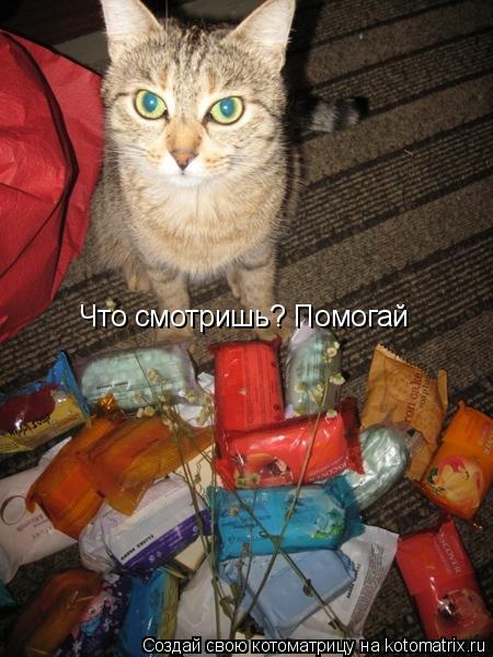 Что смотришь? Помогай... Котоматрица: Что смотришь? Помогай